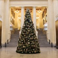 A Christmas tree stands tall in the Senate of Canada Building.